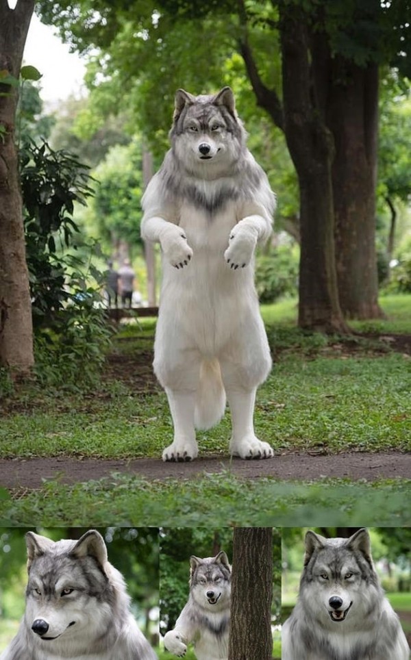 20c72ae5a13d12cf1824b704279225a0_1673269898_3708.jpg