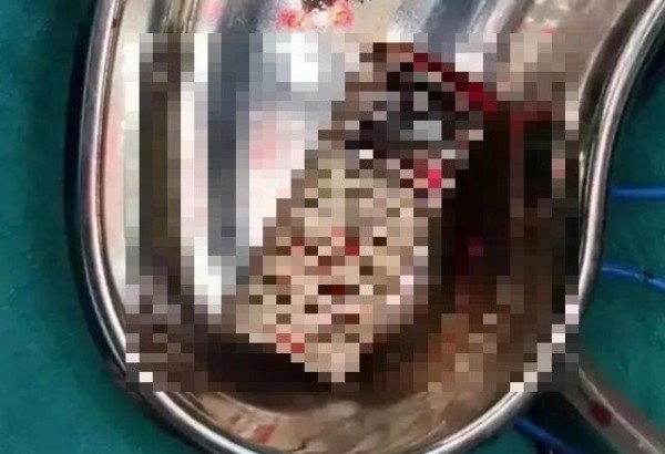 67c5744d32e996770eeee8897b446911_1681043597_0385.jpg